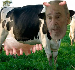 Vaca_super_lechera_Fidel_Castro.jpg (290×270)